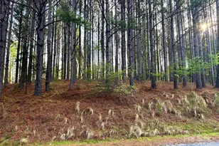 0 Clearwater Pkwy, Rutherfordton, NC 28139 - Photo 1