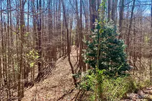 2 78 Acres Lot 84 Round Rock Rd, Lenoir, NC 28645 - Photo 1
