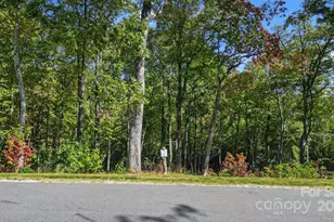 0 Mountain Grv Ln, Fletcher, NC 28732 - Photo 1