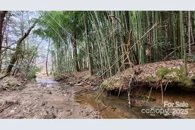 0000 Hunters Ridge Road, Taylorsville, NC 28681 - Photo 1