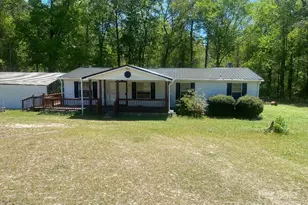 479 Gunn Mill Rd, Patrick, SC 29584 - Photo 1