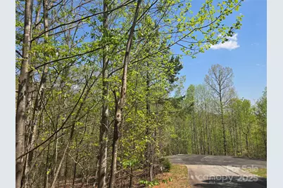 Lot 11 Back Hollow Drive, Lake Lure, NC 28746 - Photo 1