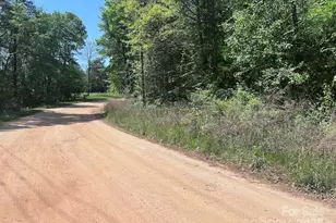 5045 Amity Ln, Iron Station, NC 28080 - Photo 1