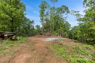 000 John Delk Rd, Hendersonville, NC 28792 - Photo 1