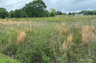 000 Thompson Rd, Rutherfordton, NC 28139 - Photo 1