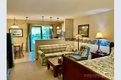 160 Whitney Boulevard #55, Lake Lure, NC 28746 - Photo 1