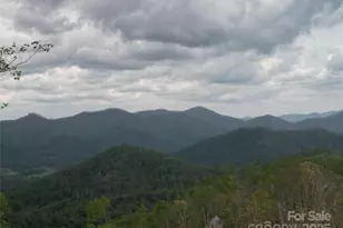99999 Elk Mountain Scenic Hwy, Asheville, NC 28804 - Photo 1