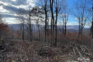 Lot 16 Crown Point Rd, West Jefferson, NC 28695 - Photo 1