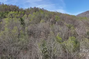 0 Gusher Knob Rd, Newland, NC 28657 - Photo 1