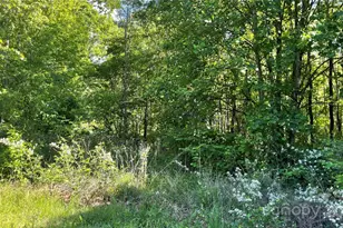 99999 Bachelder Ln, Candler, NC 28715 - Photo 1