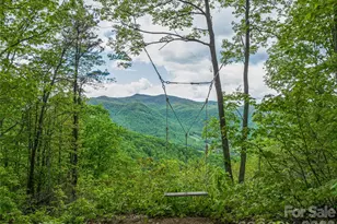 59 Pisgah Mountain Trl, Candler, NC 28715 - Photo 1