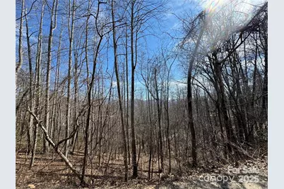 00 Windermere Woods Road #7, Franklin, NC 28734 - Photo 1