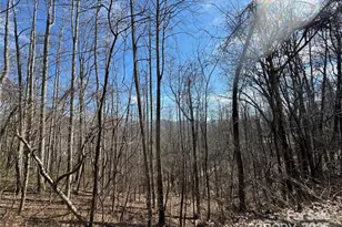 00 Windermere Woods Rd, Franklin, NC 28734 - Photo 1