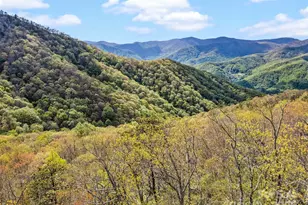 Lot G-50 Odalu Trail, Waynesville, NC 28751 - Photo 1