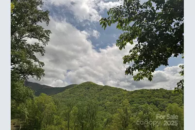 000 Rickman Ridge, Canton, NC 28716 - Photo 1