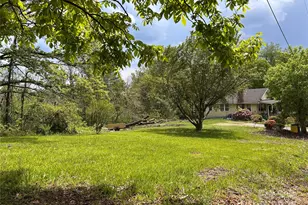 14 Crestfield Ave, Asheville, NC 28804 - Photo 1