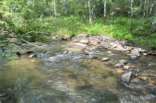 00 Vein Mountain Rd, Nebo, NC 28761 - Photo 1