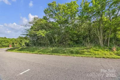 35 R E Johnson Lane, Hiddenite, NC 28636 - Photo 1