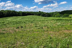 Tbd Pleasant Hill Church Rd, Marshville, NC 28103 - Photo 1