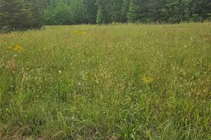 0000 Baber Forest Dr, Rutherfordton, NC 28139 - Photo 1