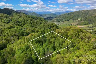 72 Lonesome Pines Rd, Clyde, NC 28721 - Photo 1