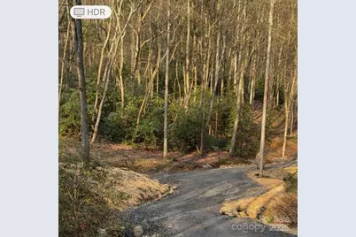 99999 Brooksong Drive, Asheville, NC 28805 - Photo 1