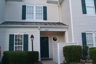 11107 Lions Mane St, Charlotte, NC 28273 - Photo 1