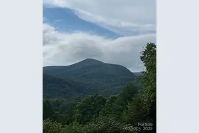 5 Old Cove Road, Black Mountain, NC 28711 - Photo 1