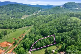 000 Hinson Thomas Rd, Spruce Pine, NC 28777 - Photo 1