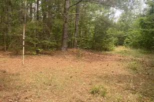 0 Walls Church Rd, Bostic, NC 28018 - Photo 1