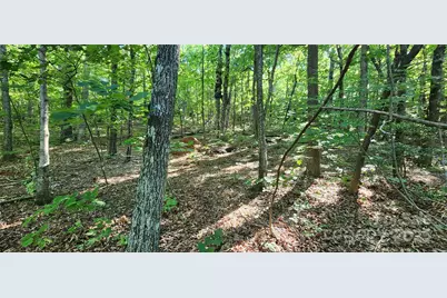 Lot 71 Serpentine Drive #71, Columbus, NC 28722 - Photo 1