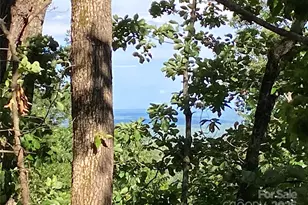 0 Youngs Mountain Dr, Lake Lure, NC 28746 - Photo 1