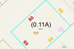 319 N Long St, Salisbury, NC 28144 - Photo 1