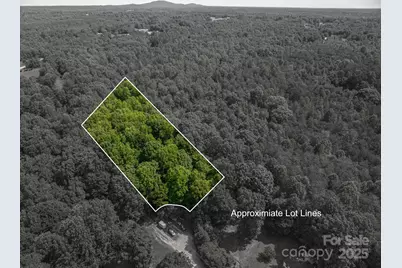 812 Trinity Lane, Iron Station, NC 28080 - Photo 1