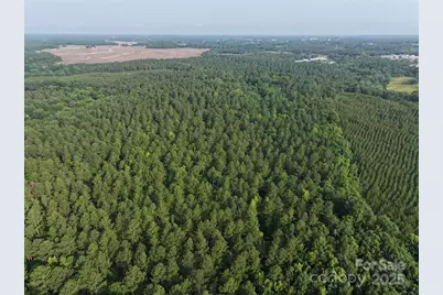 Tbd US 74 Highway, Peachland, NC 28133 - Photo 1