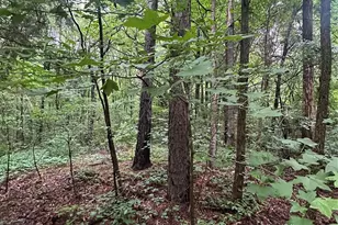 0 Stonegate Rd, Monroe, NC 28110 - Photo 1