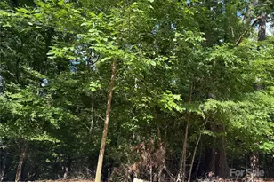 10045 Tepa Pl, Tega Cay, SC 29708 - Photo 1