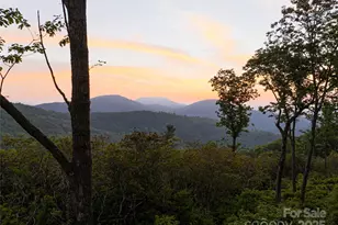 000 East Garden Trail, Fletcher, NC 28732 - Photo 1