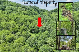 00 Mountain Glen Rd, Canton, NC 28716 - Photo 1