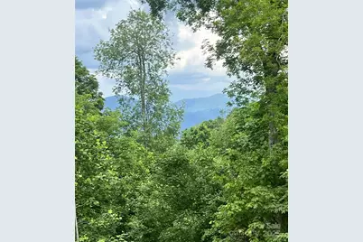 Lot 53 Mountain Air Drive #53/1, Burnsville, NC 28714 - Photo 1