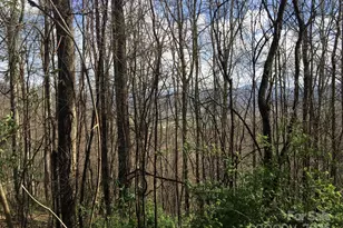 0 Kitty Ln, Waynesville, NC 28785 - Photo 1