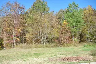 1074 Mackey Ct, Gastonia, NC 28056 - Photo 1