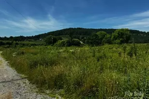 99999 Laughter Rd, Hendersonville, NC 28792 - Photo 1