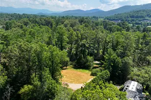 59 Stuyvesant Rd, Asheville, NC 28803 - Photo 1