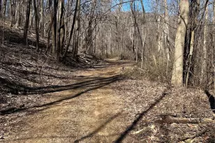 Tbd Country Club Rd, Tryon, NC 28782 - Photo 1