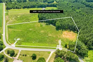 5921 Alley Rd, Catawba, NC 28609 - Photo 1