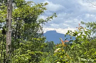 5282 Nc 181 St, Morganton, NC 28655 - Photo 1