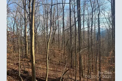 Tbd Upward Way #236 & 237, Waynesville, NC 28785 - Photo 1