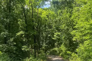 3288 Tatertown Loop, Nebo, NC 28761 - Photo 1