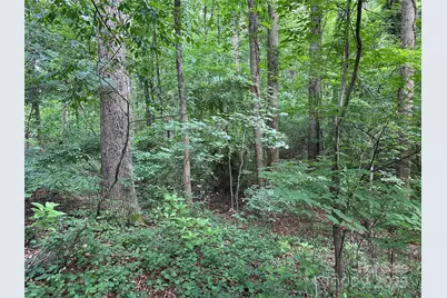 00 Fremont Lane, Elkin, NC 28621 - Photo 1